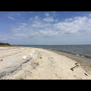 Meet your Posher, Sally